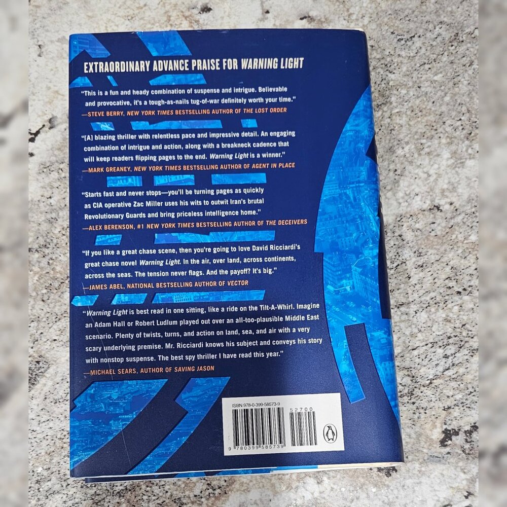Warning Light by David Ricciardi Hardback - Picture 2 of 3
